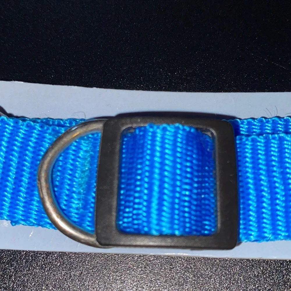 New medium dog collar adjustable fits neck size. 14” to 20”